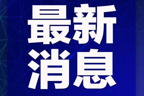 新浪网新闻爆料,揭秘最新热点事件背后的真相