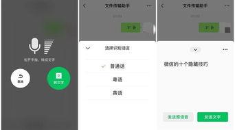 qq免费吃瓜入口聊天图片,畅享聊天新体验 第3张 qq免费吃瓜入口聊天图片,畅享聊天新体验 第3张