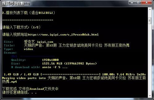 真实网络爆料视频下载网站,揭秘热门平台背后的秘密
