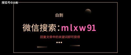 真实网络爆料视频下载网站,揭秘热门平台背后的秘密  第2张