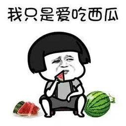 潇洒娱乐吃瓜者是谁,揭秘娱乐圈幕后风云人物  第2张