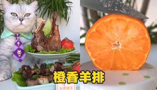 料理猫王爆料视频大全,视频大全揭秘美食背后的故事 第1张 料理猫王爆料视频大全,视频大全揭秘美食背后的故事 第1张