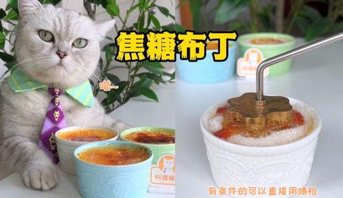 料理猫王爆料视频大全,视频大全揭秘美食背后的故事 第2张 料理猫王爆料视频大全,视频大全揭秘美食背后的故事 第2张