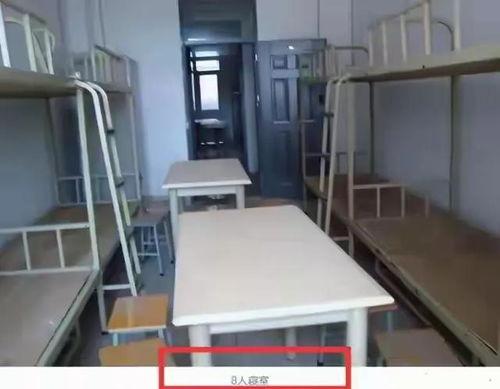 留学生宿舍爆料案例视频,揭秘真实生活背后的故事 第3张 留学生宿舍爆料案例视频,揭秘真实生活背后的故事 第3张