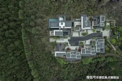桂平山火灾最新爆料消息,火势控制与救援行动纪实  第3张