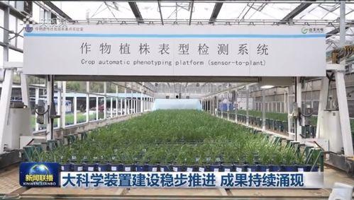 华中农大最新爆料新闻,重大科研成果引发行业关注  第2张