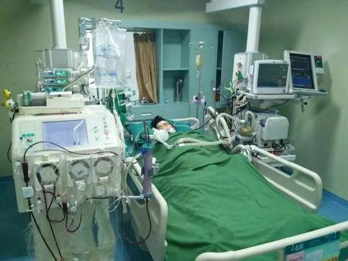重症监护室爆料案例视频,揭秘生死一线的真实案例