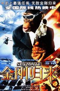 金刚在线免费观看,免费在线观影，探索巨兽传奇  第2张