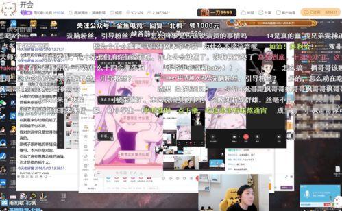 泉州网红视频爆料群,揭秘城市生活新风向