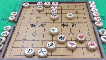 象棋仙女爆料视频大全下载,揭秘棋坛女神幕后故事  第1张