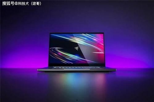 雷蛇发布会最新爆料,发布会最新爆料抢先看  第3张
