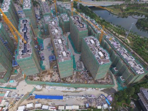 厦门龙湖爆料事件视频,揭露背后惊人真相