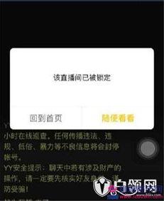 董事长爆料利哥视频播放,利哥视频播放背后的惊人真相