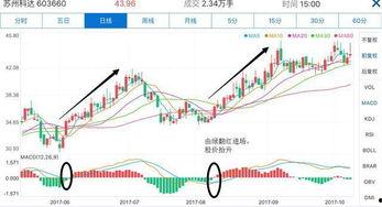 最新庄家爆料,庄家最新爆料揭示市场动向 第3张 最新庄家爆料,庄家最新爆料揭示市场动向 第3张
