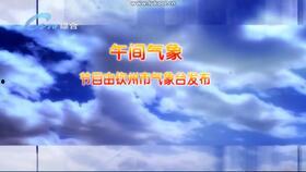 钦州新闻9点半爆料,最新爆料揭示城市动态