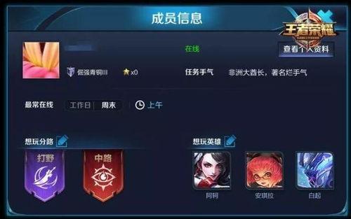王者永耀爆料视频大全下载,揭秘游戏新动态与精彩瞬间  第3张