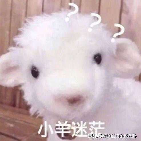 小羊吃瓜最新事件爆料,揭秘背后惊人真相 第3张 小羊吃瓜最新事件爆料,揭秘背后惊人真相 第3张