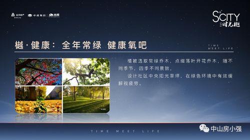 文妹爆料视频大全最新章节,揭秘娱乐圈幕后真相  第2张