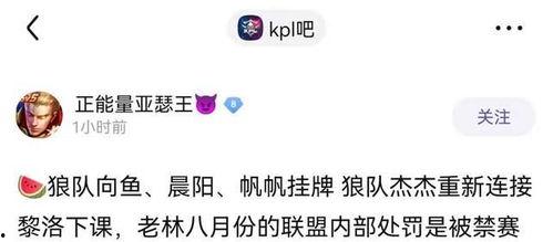 狼队转会期最新爆料消息,最新爆料揭示引援动向  第2张