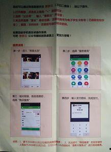 重庆教委最新爆料信息网,揭秘教育改革动态与政策动向
