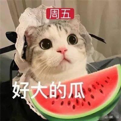 网红吃瓜挨揍图片,网络暴力下的惊人一幕  第2张