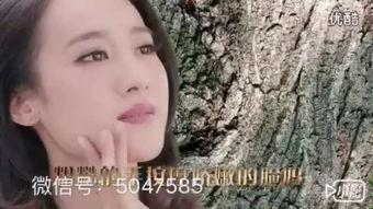 亲吻视频在线观看土豆,热门亲吻视频在线观看