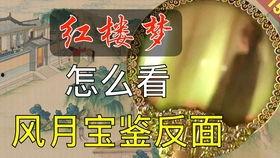 飞燕爆料完整视频在线观看,揭秘幕后真相  第2张