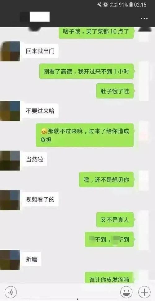 聊天记录免费吃瓜,一场免费吃瓜的狂欢盛宴