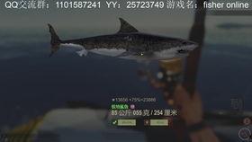 鲨鱼最新爆料视频,揭秘神秘事件内幕  第2张