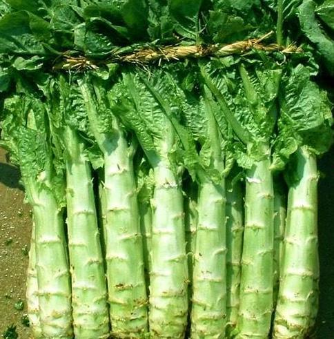 原神莴苣妈妈爆料视频在线观看,揭秘游戏幕后故事与精彩瞬间 第2张 原神莴苣妈妈爆料视频在线观看,揭秘游戏幕后故事与精彩瞬间 第2张