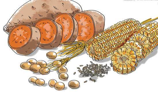 食品原材料爆料视频大全,爆料视频大全深度解析