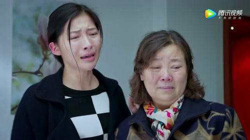 春天里32集在线观看,浪漫邂逅，青春绽放