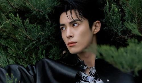 圈内芒果爆料白鹿王鹤棣,白鹿与王鹤棣甜蜜互动,甜蜜恋情引关注 第2张 圈内芒果爆料白鹿王鹤棣,白鹿与王鹤棣甜蜜互动,甜蜜恋情引关注 第2张