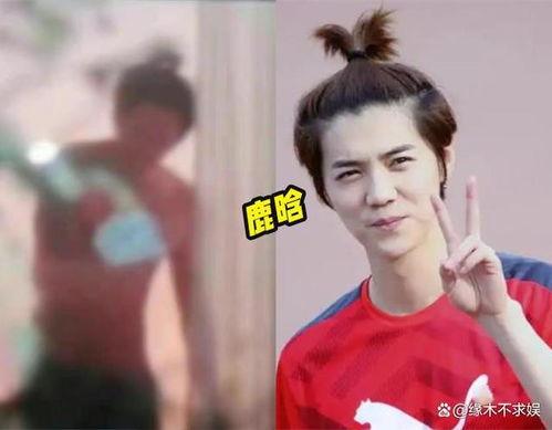 爆料鹿晗舔狗视频播放网站,揭秘网络传播背后的真相