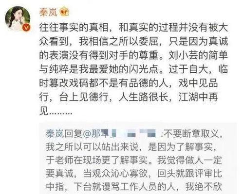 娱乐文字爆料怎么写,最新爆料背后的故事与真相