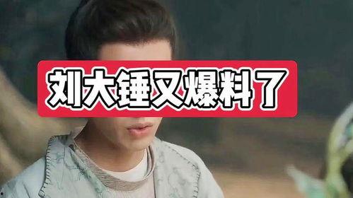 刘大锤爆料朱亚文视频,揭秘明星幕后生活片段  第2张