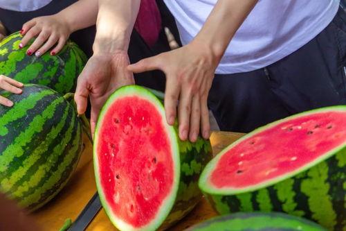 免费吃瓜录音,揭秘免费吃瓜录音背后的故事与真相  第2张