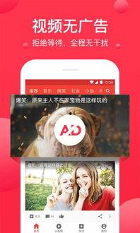 吃瓜爆料配音视频大全下载,一键下载收藏！