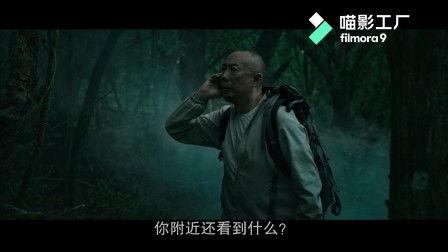 在线观看失踪,揭秘失踪者在线留下的线索