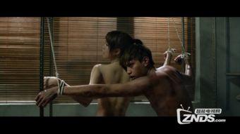 野狼与玛丽在线观看,激情燃烧的草原爱情传奇  第2张