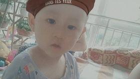 小林吃瓜第13集免费观看,揭秘免费观看背后的秘密  第1张