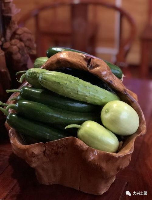 大型网红吃瓜视频,揭秘娱乐圈幕后真相 第3张 大型网红吃瓜视频,揭秘娱乐圈幕后真相 第3张