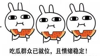 娱乐吃瓜酱晚安蠢蛋  第1张