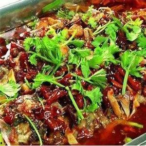 烤鱼上瘾爆料视频大全集,揭秘视频大全集背后的美食诱惑与疯狂 第1张 烤鱼上瘾爆料视频大全集,揭秘视频大全集背后的美食诱惑与疯狂 第1张