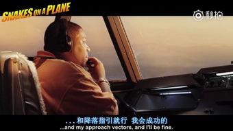 航班蛇患全集在线观看,惊悚空中逃生记