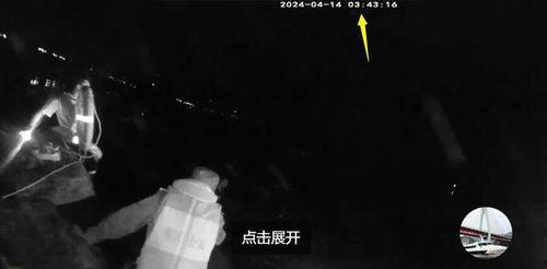 胖猫事件网友爆料视频,网友爆料视频揭露惊人真相  第3张